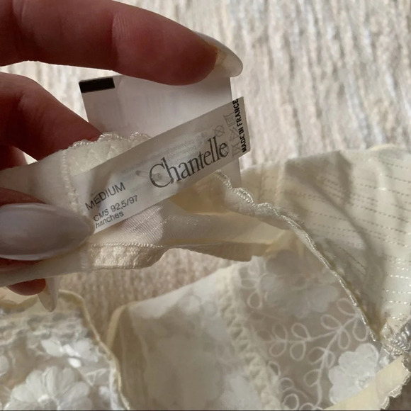 NWT Chantelle Ivory Garter Belt - Picture 4 of 5